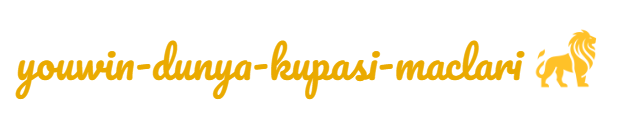 Youwin Dünya Kupası Maçları